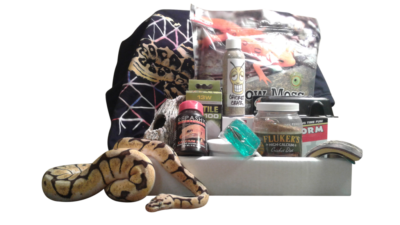 reptibox.png