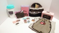 pusheen-12.jpg